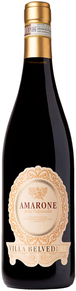 Amarone della Valpolicella DOCG 2019 Villa Belvedere